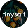 TinySalt - Personal Food Blog WordPress Theme