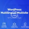 WordPress Multilingual Multisite