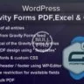 WordPress Gravity Forms PDF, Excel & CSV