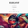 Themify Elegant WordPress Theme